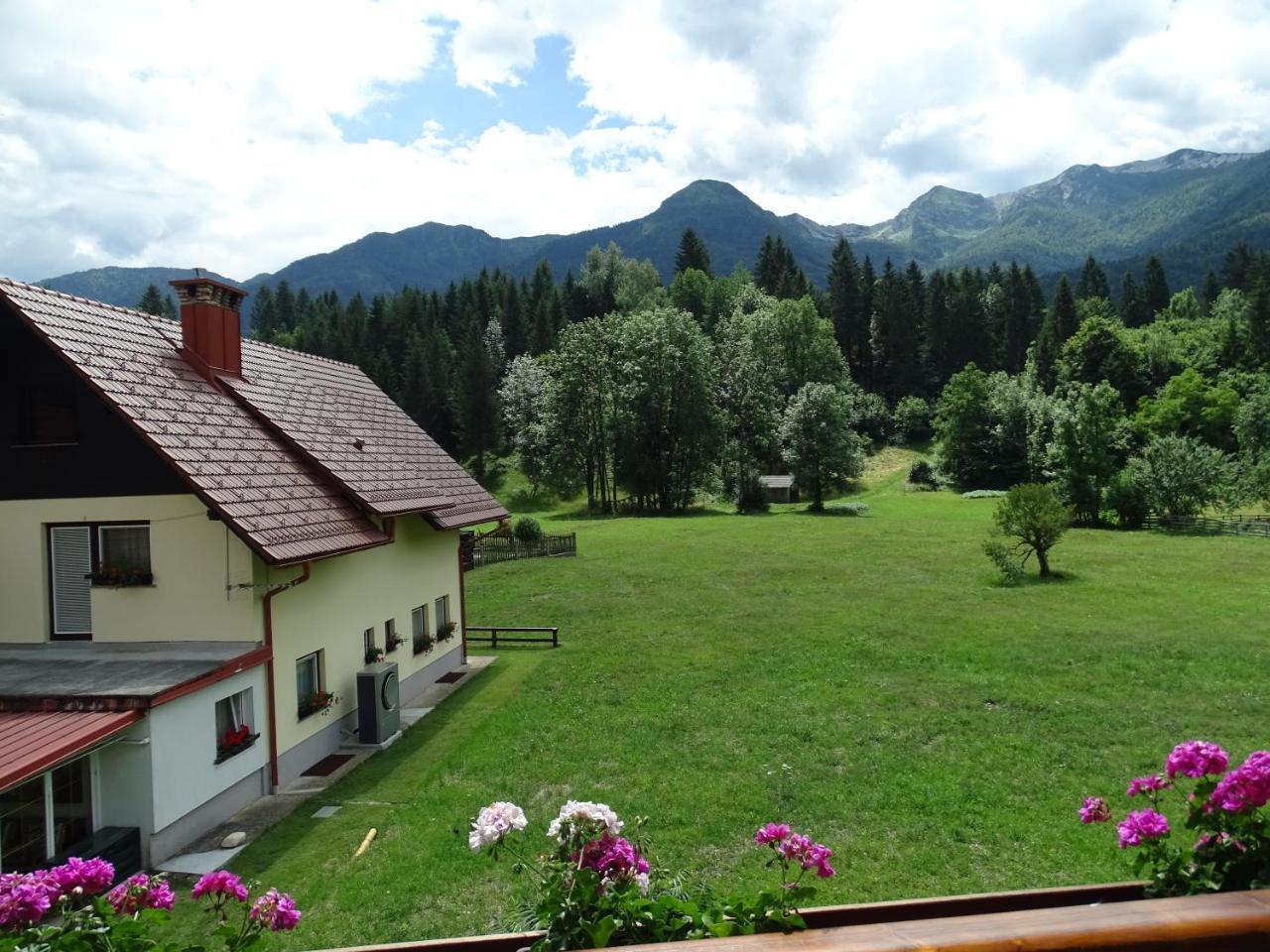Apartma Kosnik Bohinj ภายนอก รูปภาพ